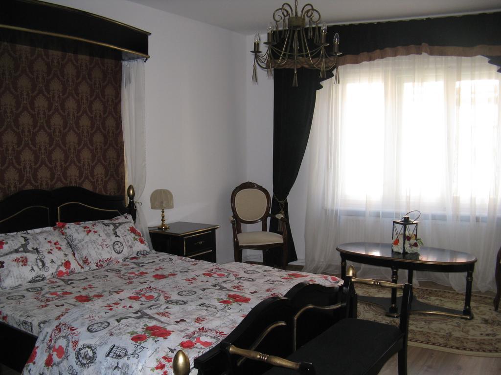 Central Villa Сибиу Экстерьер фото