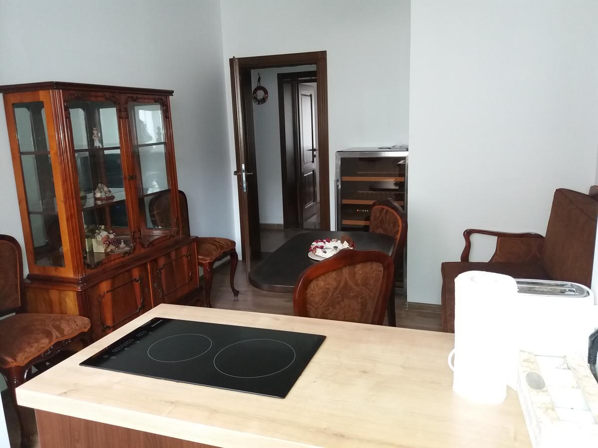 Central Villa Сибиу Экстерьер фото