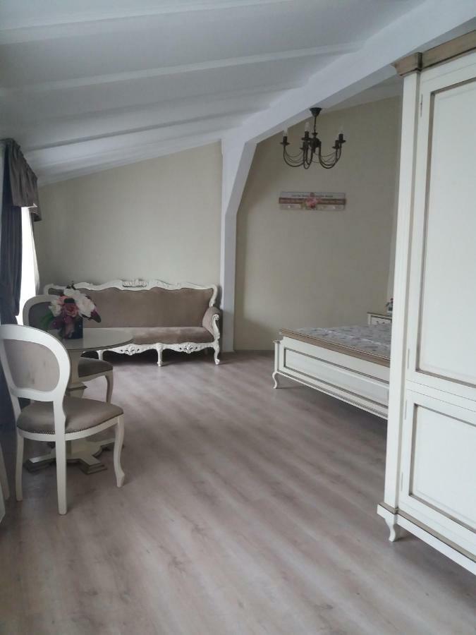 Central Villa Сибиу Экстерьер фото